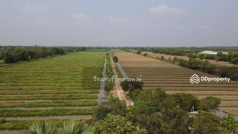  ขายถูกที่สุด!! ที่ดิน อ.หนองเสือ คลอง 11 ปทุมธานี (ผังสีชมพู—เหมาะสร้างโกดัง)