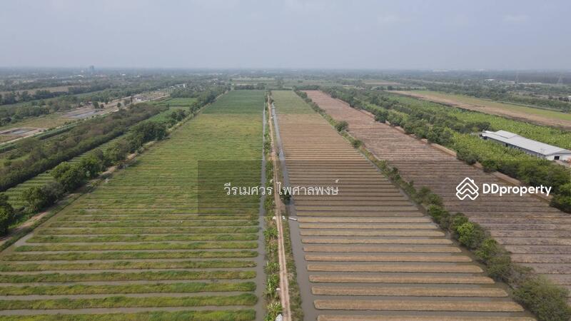  ขายถูกที่สุด!! ที่ดิน อ.หนองเสือ คลอง 11 ปทุมธานี (ผังสีชมพู—เหมาะสร้างโกดัง)