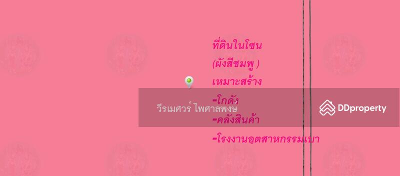  ขายถูกที่สุด!! ที่ดิน อ.หนองเสือ คลอง 11 ปทุมธานี (ผังสีชมพู—เหมาะสร้างโกดัง)