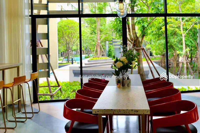 plum condo rangsit alive 2, ปทุมธานี, คลองหนึ่ง, คลองหลวง, ปทุมธานี, 28 ตร.ม., คอนโด ให้เช่า, โดย Yuanyuan chen, 8459073 - DDproperty.com