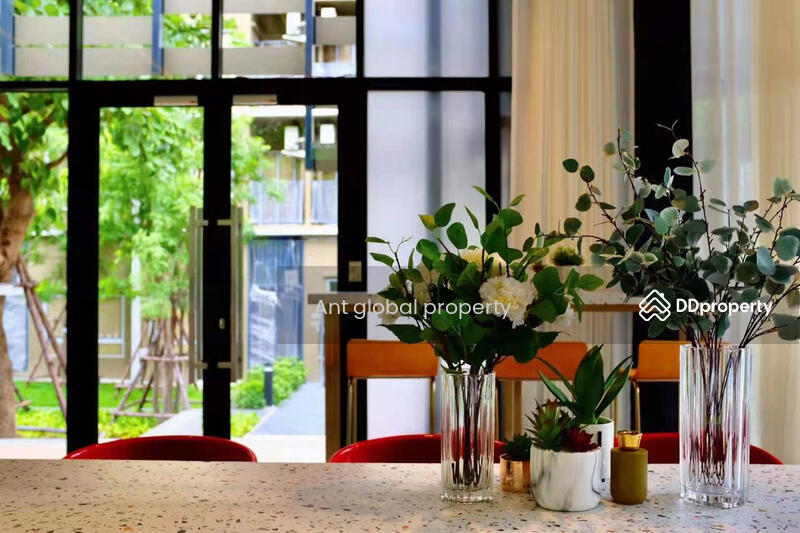 plum condo rangsit alive 2, ปทุมธานี, คลองหนึ่ง, คลองหลวง, ปทุมธานี, 28 ตร.ม., คอนโด ให้เช่า, โดย Yuanyuan chen, 8459073 - DDproperty.com