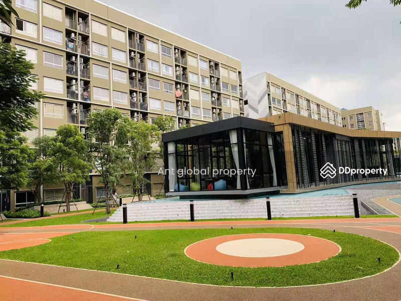 plum condo rangsit alive 2, Pathum Thani, Khlong Nung, Khlong Luang, Pathum Thani, 1 Bedroom, 28 sqm, Condo For Rent, by Yuanyuan chen, 8459073 - DDproperty.com