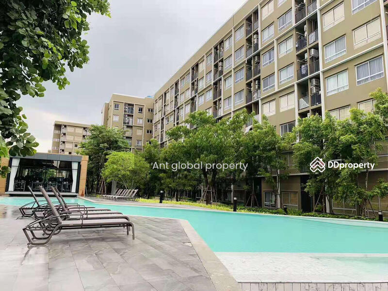 plum condo rangsit alive 2, ปทุมธานี, คลองหนึ่ง, คลองหลวง, ปทุมธานี, 28 ตร.ม., คอนโด ให้เช่า, โดย Yuanyuan chen, 8459073 - DDproperty.com