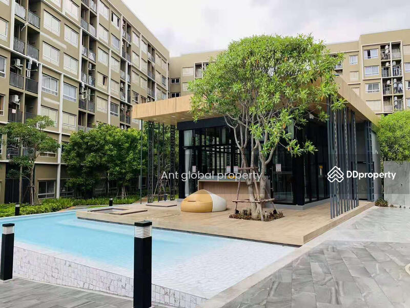 plum condo rangsit alive 2, Pathum Thani, Khlong Nung, Khlong Luang, Pathum Thani, 1 Bedroom, 28 sqm, Condo For Rent, by Yuanyuan chen, 8459073 - DDproperty.com