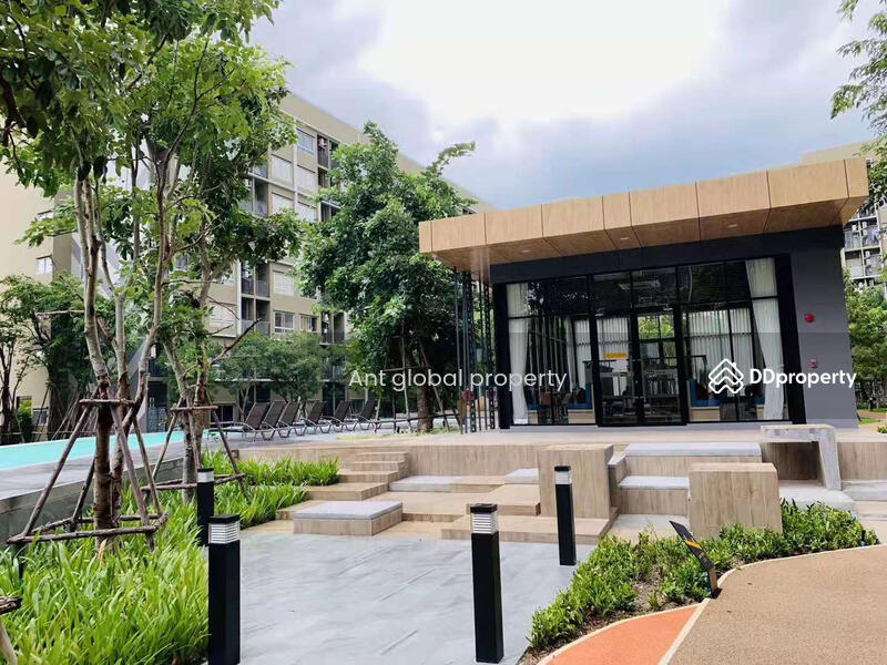 plum condo rangsit alive 2, ปทุมธานี, คลองหนึ่ง, คลองหลวง, ปทุมธานี, 28 ตร.ม., คอนโด ให้เช่า, โดย Yuanyuan chen, 8459073 - DDproperty.com