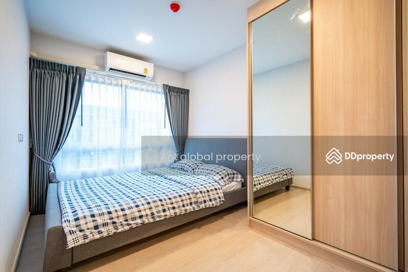 plum condo rangsit alive 2, Pathum Thani, Khlong Nung, Khlong Luang, Pathum Thani, 1 Bedroom, 28 sqm, Condo For Rent, by Yuanyuan chen, 8459073 - DDproperty.com