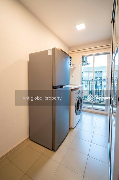 plum condo rangsit alive 2, Pathum Thani, Khlong Nung, Khlong Luang, Pathum Thani, 1 Bedroom, 28 sqm, Condo For Rent, by Yuanyuan chen, 8459073 - DDproperty.com