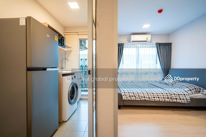 plum condo rangsit alive 2, Pathum Thani, Khlong Nung, Khlong Luang, Pathum Thani, 1 Bedroom, 28 sqm, Condo For Rent, by Yuanyuan chen, 8459073 - DDproperty.com