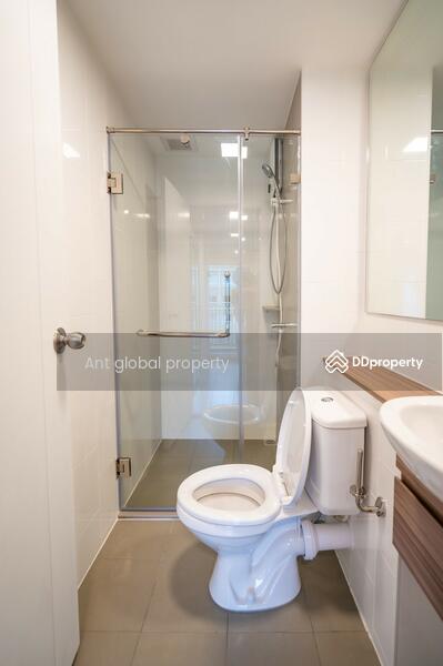 plum condo rangsit alive 2, Pathum Thani, Khlong Nung, Khlong Luang, Pathum Thani, 1 Bedroom, 28 sqm, Condo For Rent, by Yuanyuan chen, 8459073 - DDproperty.com