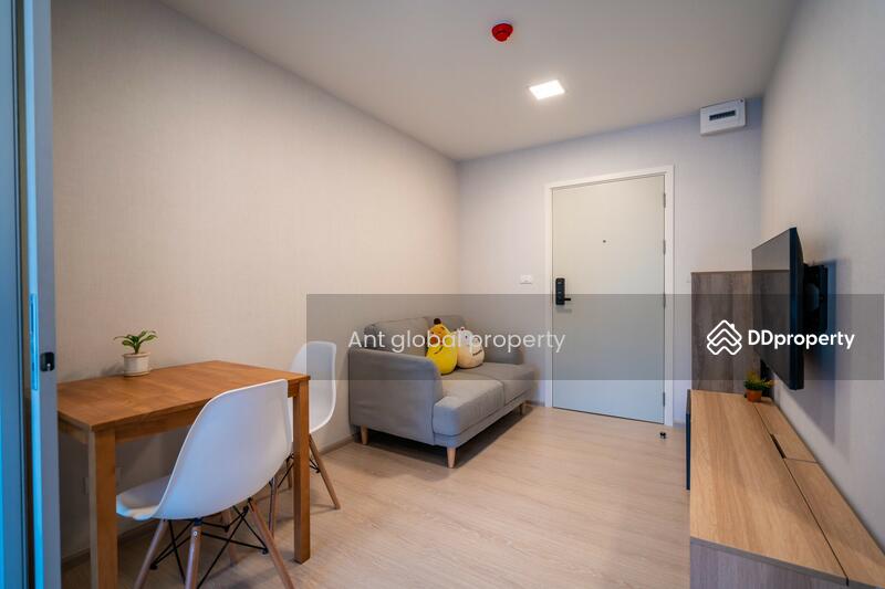 plum condo rangsit alive 2, Pathum Thani, Khlong Nung, Khlong Luang, Pathum Thani, 1 Bedroom, 28 sqm, Condo For Rent, by Yuanyuan chen, 8459073 - DDproperty.com