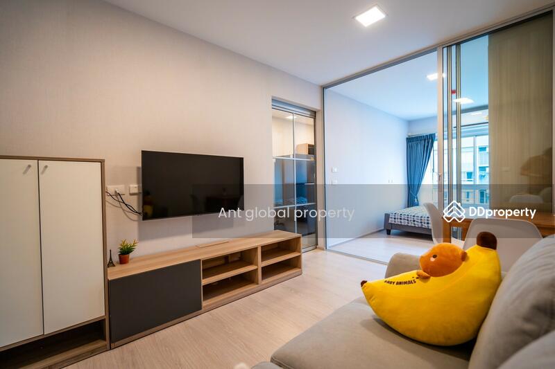 plum condo rangsit alive 2, Pathum Thani, Khlong Nung, Khlong Luang, Pathum Thani, 1 Bedroom, 28 sqm, Condo For Rent, by Yuanyuan chen, 8459073 - DDproperty.com