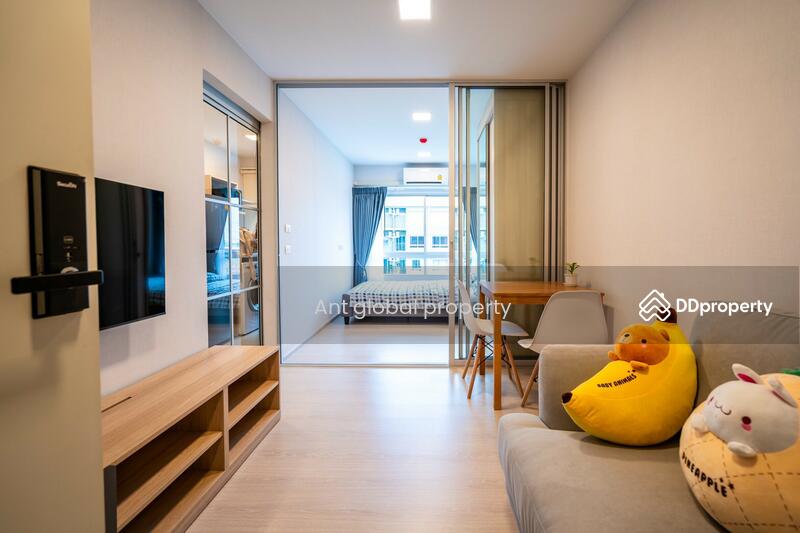 plum condo rangsit alive 2, Pathum Thani, Khlong Nung, Khlong Luang, Pathum Thani, 1 Bedroom, 28 sqm, Condo For Rent, by Yuanyuan chen, 8459073 - DDproperty.com