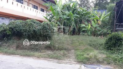 ขาย - 40397 ขายที่ดินพร้อมอพาร์ทเม้นท์ ถ.สุขุมวิท 105, ลาซาล 32 ใกล้ BTS แบริ่ง, กรุงเทพ