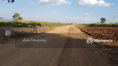 ขาย - ที่ดินเปล่า, นครราชสีมา