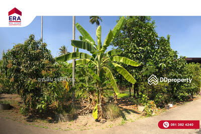 ขาย - ที่ดินสวย ซ.ราษฎร์รังสรรค์ ต.บางกะเจ้า อ.พระประแดง จ.สมุทรปราการ เหมาะทำสวนเกษตร ปลูกบ้าน รีสอร์ท แ, สมุทรปราการ