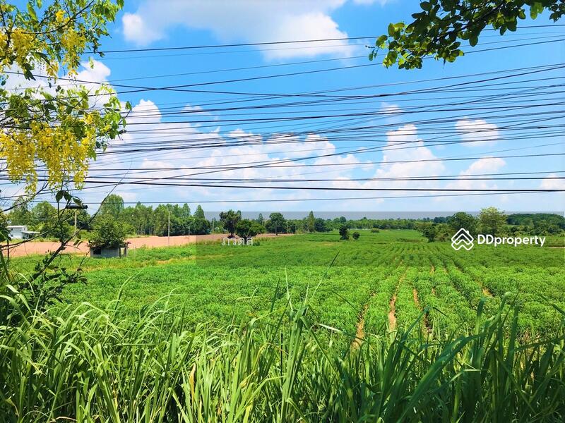 For Sale - Land for sale 75 rai,next to Mittraphap Road, Nam Phong District, Khon Kaen Province, Khon Kaen