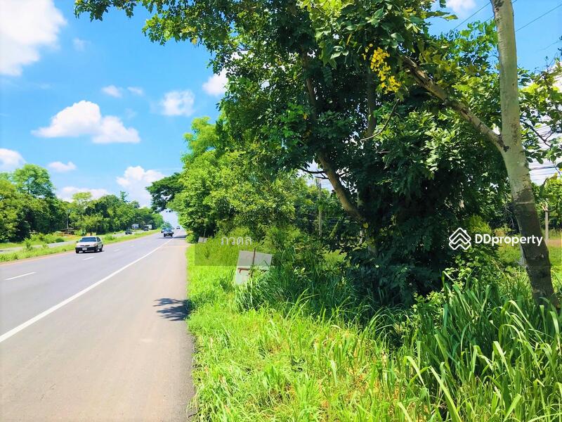 For Sale - Land for sale 75 rai,next to Mittraphap Road, Nam Phong District, Khon Kaen Province, Khon Kaen