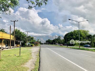 ขาย - ขายที่ดิน ติดถนนมิตรภาพ 75 ไร่ ฝั่งขาเข้ากรุงเทพฯ อ.น้ำพอง จ.ขอนแก่น, ขอนแก่น