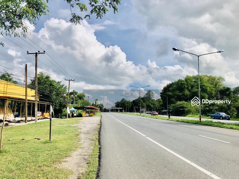 For Sale - Land for sale 75 rai,next to Mittraphap Road, Nam Phong District, Khon Kaen Province, Khon Kaen