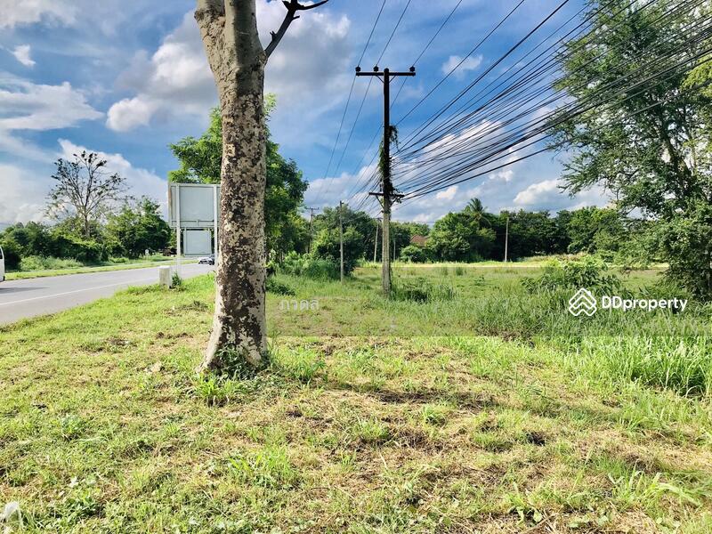 For Sale - Land for sale 75 rai,next to Mittraphap Road, Nam Phong District, Khon Kaen Province, Khon Kaen