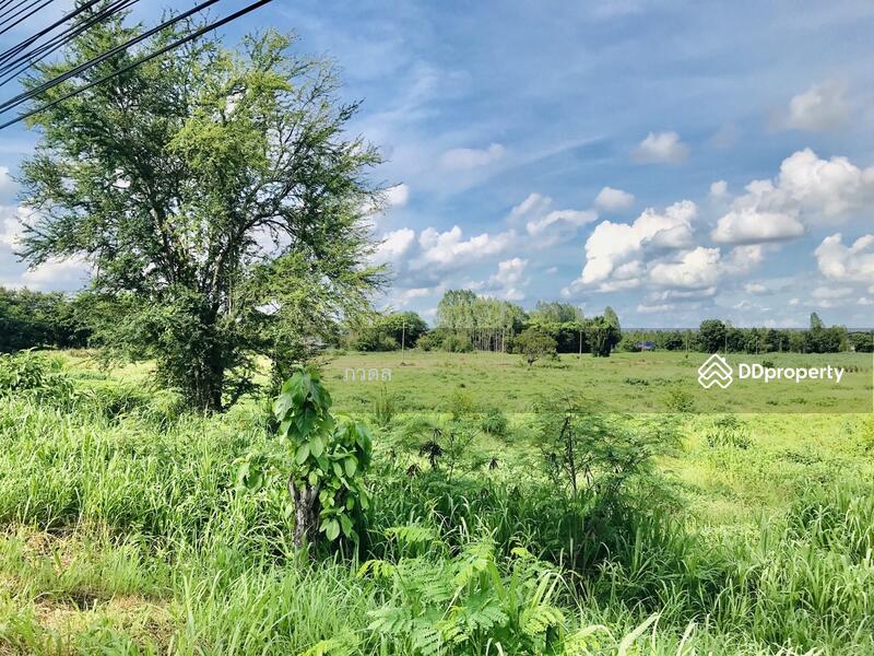 For Sale - Land for sale 75 rai,next to Mittraphap Road, Nam Phong District, Khon Kaen Province, Khon Kaen
