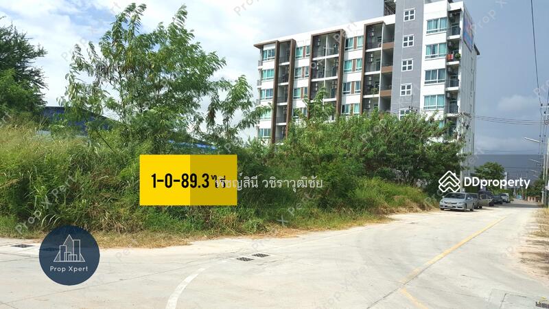 แปลงด้านหลัง