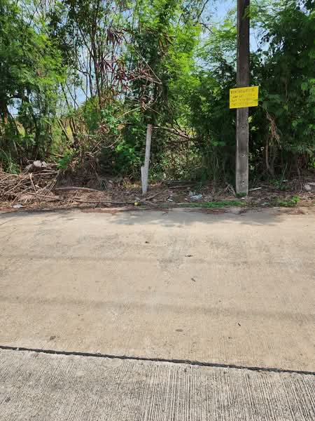 ที่ดินถมแล้วใกล้ถนนสุวินทวงศ์ ตลาดกองพล เมืองฉะเชิงเทรา, ฉะเชิงเทรา, สุวินทวงศ์, คลองอุดมชลจร, เมืองฉะเชิงเทรา, ฉะเชิงเทรา, 1,924 ตร.ม., ที่ดิน ขาย, โดย Chonlada Nakasemsuwan, 8486346 - DDproperty.com