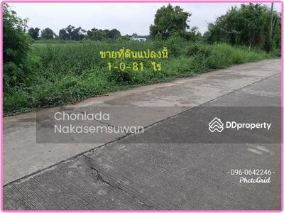ขาย - ที่ดินถมแล้วใกล้ถนนสุวินทวงศ์ ตลาดกองพล เมืองฉะเชิงเทรา, ฉะเชิงเทรา