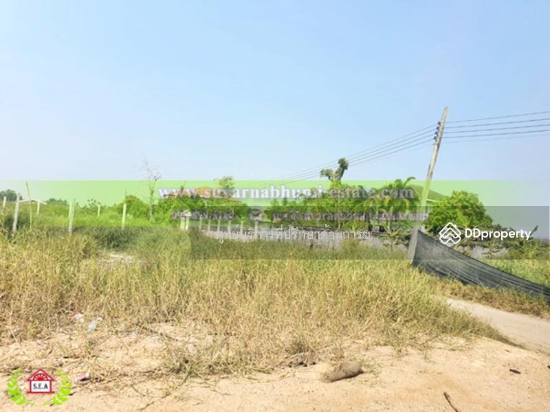 Suwinthawong land, Bangkok, สุวินทวงศ์, Krathum Rai, Nong Chok, Bangkok, , 792 sqm, Land For Sale, by Thanitcha Kangkasuwanno, 8487615 - DDproperty.com