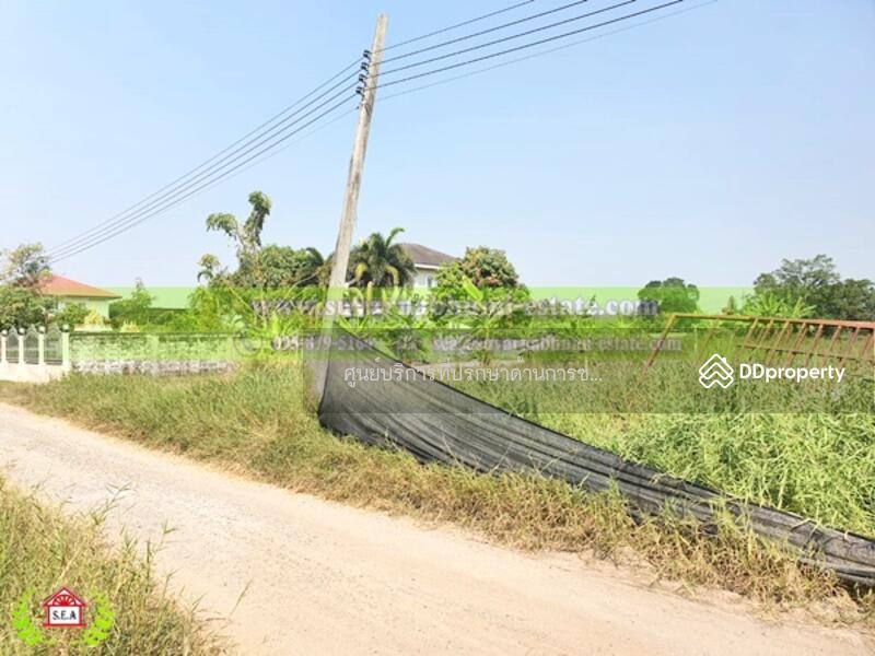 ที่ดินสุวินทวงศ์, กรุงเทพ, สุวินทวงศ์, กระทุ่มราย, หนองจอก, กรุงเทพ, 792 ตร.ม., ที่ดิน ขาย, โดย Thanitcha Kangkasuwanno, 8487615 - DDproperty.com