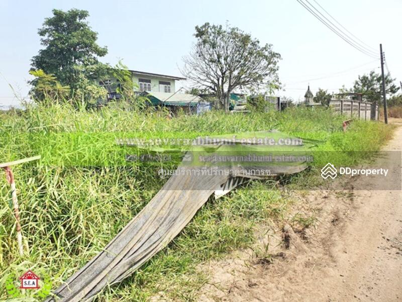 Suwinthawong land, Bangkok, สุวินทวงศ์, Krathum Rai, Nong Chok, Bangkok, , 792 sqm, Land For Sale, by Thanitcha Kangkasuwanno, 8487615 - DDproperty.com