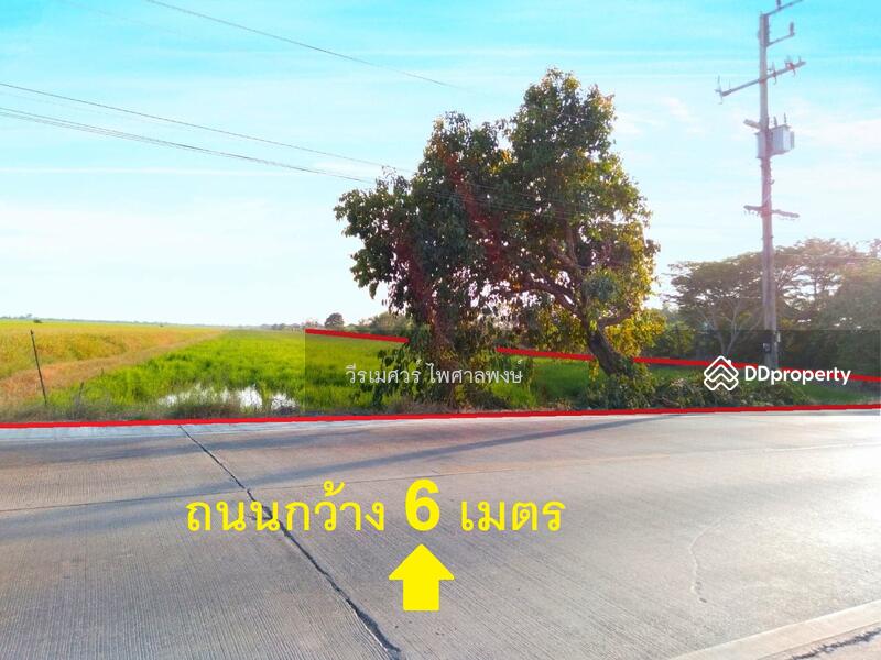 ขายที่ดิน ลำลูกกา คลอง 11 เนื้อที่ 160 ไร่ 149 ตร.ว. รูปสี่เหลี่ยมผืนผ้าสวยงาม