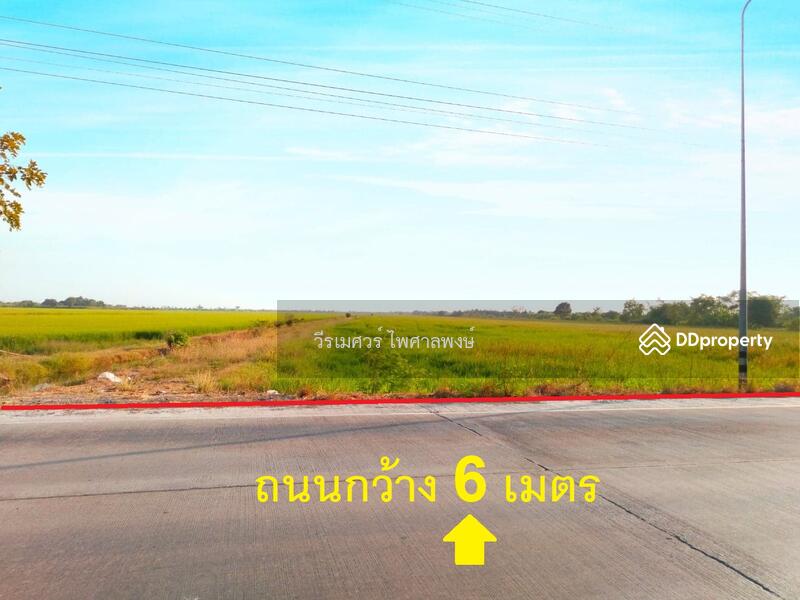 ขายที่ดิน ลำลูกกา คลอง 11 เนื้อที่ 160 ไร่ 149 ตร.ว. รูปสี่เหลี่ยมผืนผ้าสวยงาม