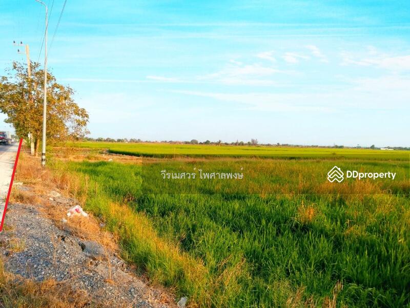 ขายถูก ที่ดิน ลำลูกกา คลอง 11 เนื้อที่ 160 ไร่ 149 ตร.ว. รูปสี่เหลี่ยมผืนผ้าสวยงาม