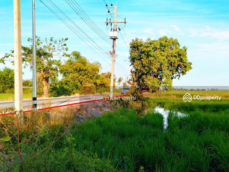 ขายถูก ที่ดิน ลำลูกกา คลอง 11 เนื้อที่ 160 ไร่ 149 ตร.ว. รูปสี่เหลี่ยมผืนผ้าสวยงาม