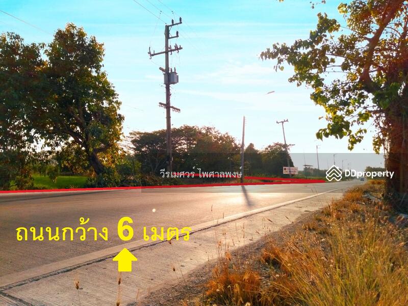 ขายถูก ที่ดิน ลำลูกกา คลอง 11 เนื้อที่ 160 ไร่ 149 ตร.ว. รูปสี่เหลี่ยมผืนผ้าสวยงาม