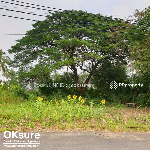ที่ดิน เพชรเกษม 88, Bangkok, ซอยเพชรเกษม 88, Bang Kae Nua, Bang Khae, Bangkok, , 800 sqm, Land For Sale, by K. Book, 8509197 - DDproperty.com