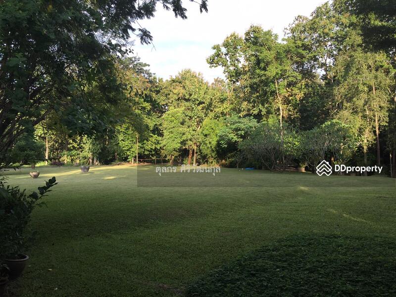 สนามหญ้ามองจากตัวบ้านหลังที่หนึ่งออกไป