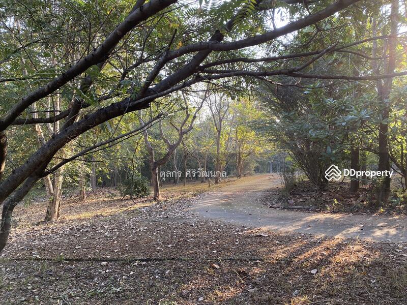 บริเวณภายในที่ดิน