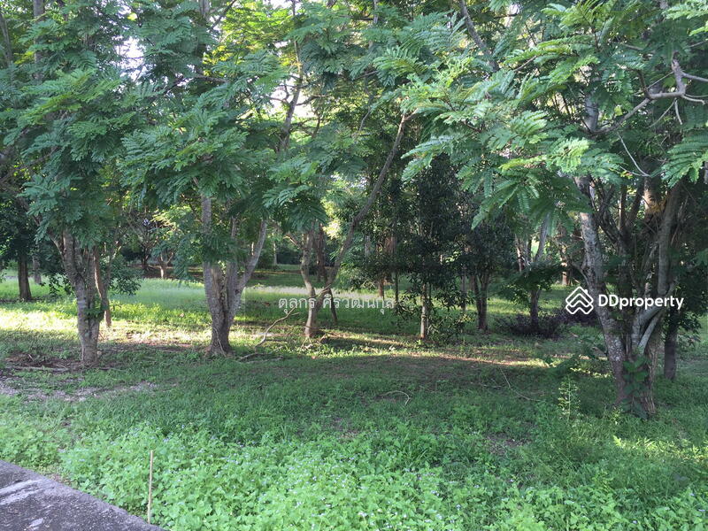 บริเวณภายในที่ดิน