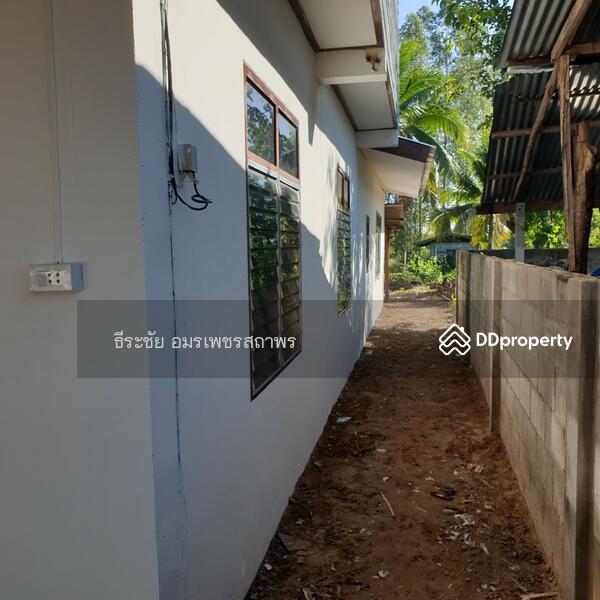 ขาย - บ้านพร้อมที่ดิน ในหมู่บ้านหนองโง้ง บ้านแฮด, ขอนแก่น