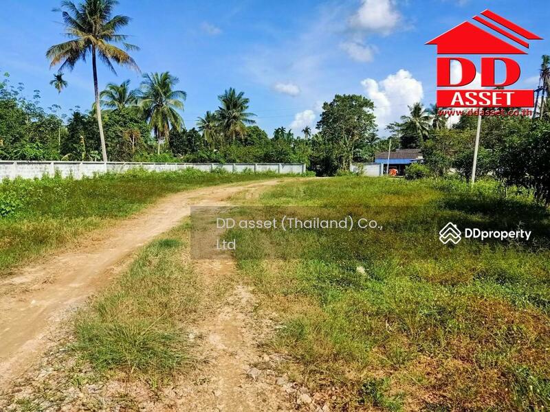 ขาย - ขายบ้านพร้อมที่ดินแปลงดินแปลงสวย, นครศรีธรรมราช