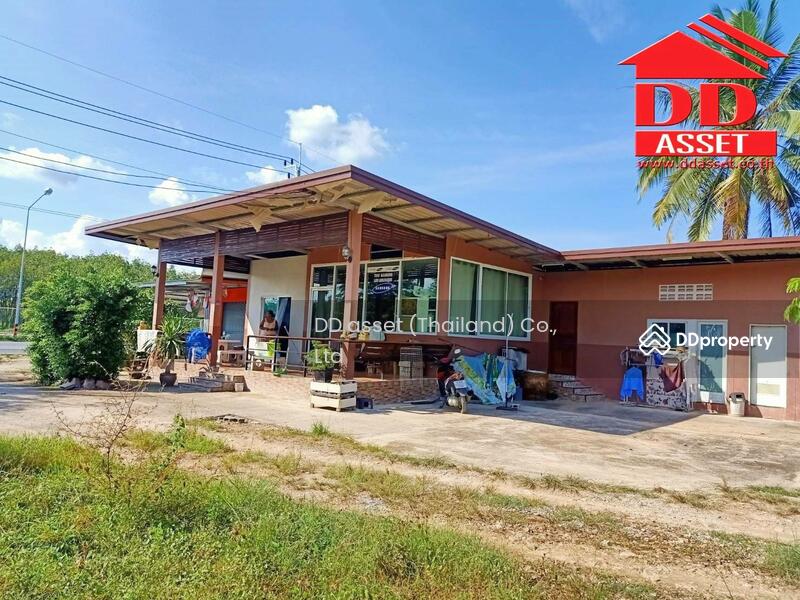 ขาย - ขายบ้านพร้อมที่ดินแปลงดินแปลงสวย, นครศรีธรรมราช