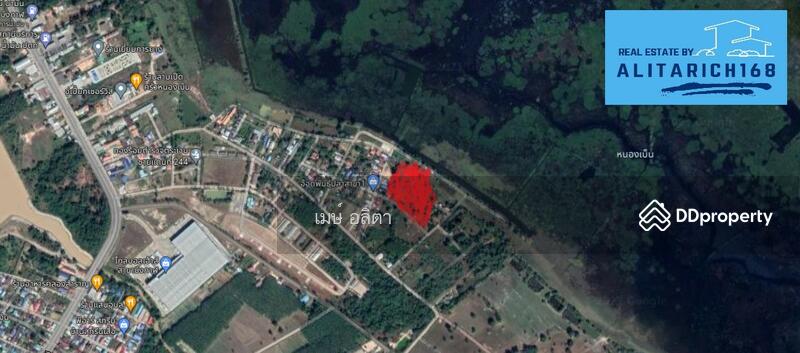 ขาย - ที่ดินบึงกาฬ อำเภอเมือง ใกล้โกลบอลเฮ้าส์ ติดหนองเบ็น ทำเลดี วิวสวย, บึงกาฬ