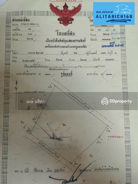 ขาย - ที่ดินบึงกาฬ อำเภอเมือง ใกล้โกลบอลเฮ้าส์ ติดหนองเบ็น ทำเลดี วิวสวย, บึงกาฬ