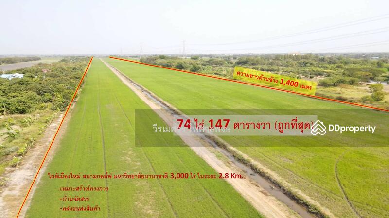 ขายที่ดินติดถนนลำลูกกา กว้าง 4 เลน เหมาะสร้างโครงการ บ้านจัดสรร คลังขนส่งสินค้า