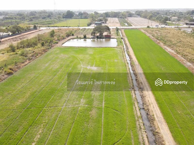 ขายที่ดินติดถนนลำลูกกา กว้าง 4 เลน เหมาะสร้างโครงการ บ้านจัดสรร คลังขนส่งสินค้า