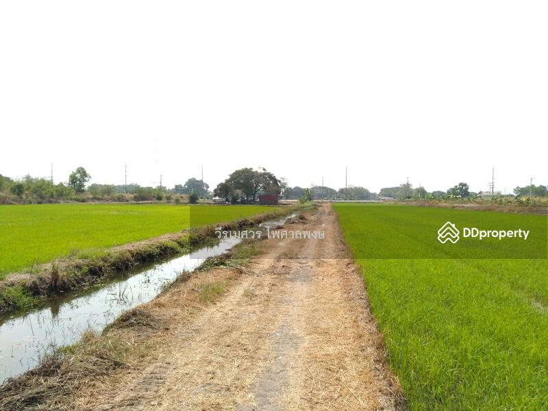 ขายที่ดินติดถนนลำลูกกา กว้าง 4 เลน เหมาะสร้างโครงการ บ้านจัดสรร คลังขนส่งสินค้า