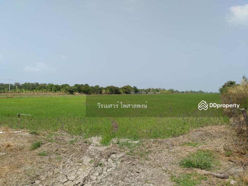 ขายที่ดินติดถนนลำลูกกา กว้าง 4 เลน เหมาะสร้างโครงการ บ้านจัดสรร คลังขนส่งสินค้า