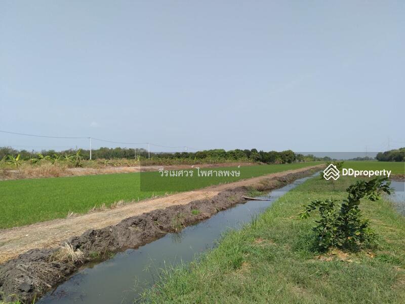 ขายที่ดินติดถนนลำลูกกา กว้าง 4 เลน เหมาะสร้างโครงการ บ้านจัดสรร คลังขนส่งสินค้า